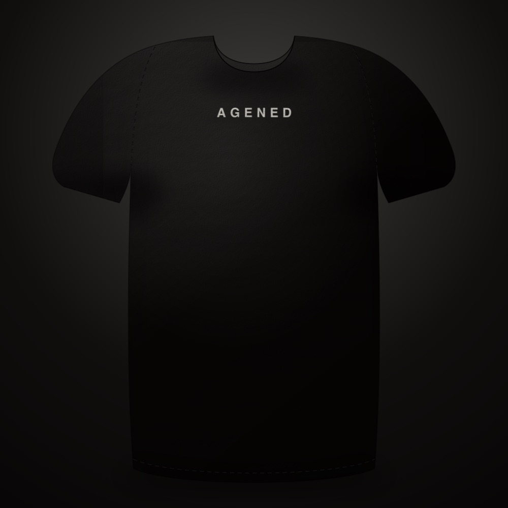 Swarm Protocol t-shirt in Ember Amber on Charcoal, front view with the
     small AGENED chest wordmark